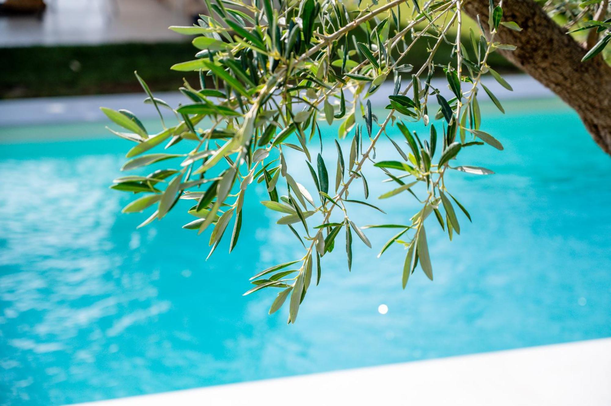Beato Villa Preveza
